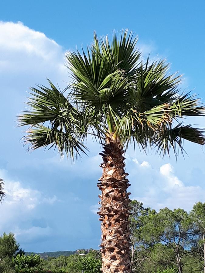 Les Parasols D'Argens Roquebrune-sur-Argens Exterior photo